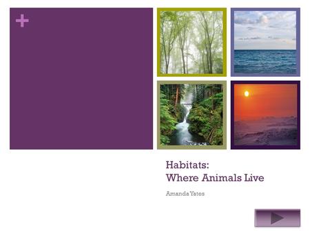 + Habitats: Where Animals Live Amanda Yates. + Grade Level: 2 Subject: Science Summary: The purpose of this power point is to reinforce students’ knowledge.