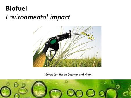 Biofuel Environmental impact Group 2 – Hulda Dagmar and Mervi.