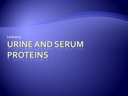 Lecture 9.  Presence of excess of serum proteins in the urine is called proteinuria.  The excess of protein leads to foamy or frothy urine  Up to 150.