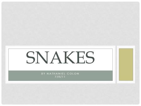 BY NATHANIEL COLON 7/8/11 SNAKES. THINGS THAT I WILL BE INCLUDING IN THIS SLIDE SHOW. INFORMATION ON 5 DIFFERENT TYPES OF SNAKES: THE EASTERN DIAMONDBACK.
