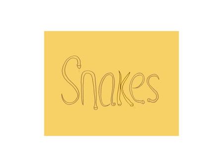 Snakes are a member of the reptile family. The reptile family includes lizards, turtles, alligators and crocodiles, and snakes.
