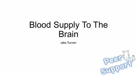 Blood Supply To The Brain