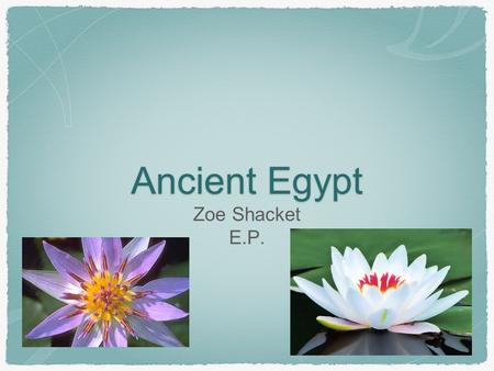 Ancient Egypt Zoe Shacket E.P..