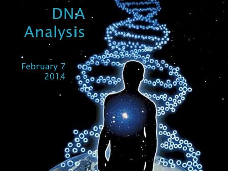 DNA Analysis February 7 2014.