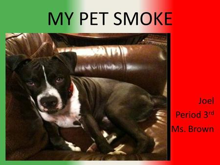 MY PET SMOKE Joel Period 3 rd Ms. Brown. Average cost of a blue nose pit-bull Around 500 dollars for a real one.