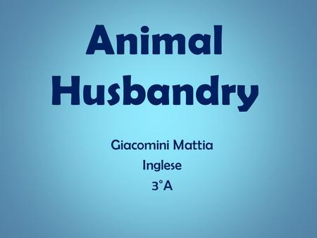 Animal Husbandry Giacomini Mattia Inglese 3˚A. What is it ? It is the branch of agriculture concerned with the breeding of farm animals:  Cattle  Pigs.