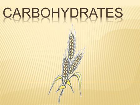 1. We get most of our carbohydrates from the GRAINS group. 2. FRUITS and VEGETABLES are also a good source of carbohydrates. 3. Almost all of our carbohydrates.