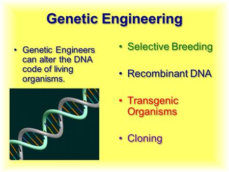 Genetic Engineering Genetic Engineers can alter the DNA code of living organisms. Selective Breeding Recombinant DNA Transgenic Organisms Cloning Selective.