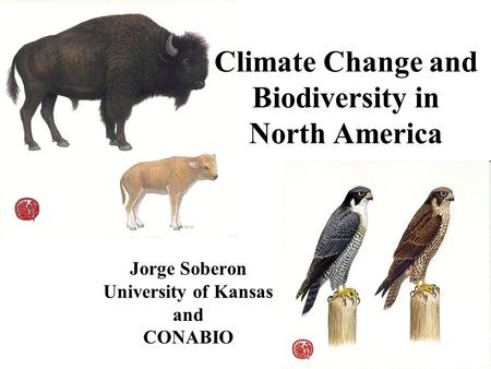 Climate Change and Biodiversity in North America Jorge Soberon University of Kansas and CONABIO.