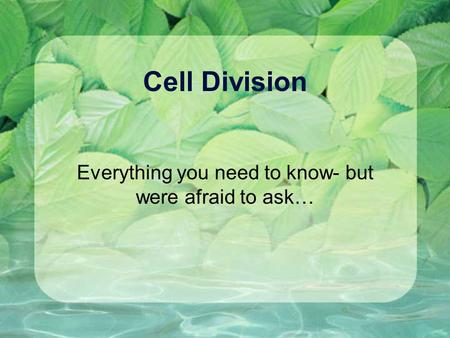 Cell Division Everything you need to know- but were afraid to ask…