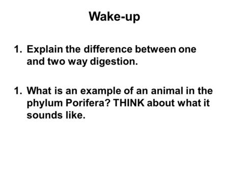 Wake-up 1.Explain the difference between one and two way digestion. 1.What is an example of an animal in the phylum Porifera? THINK about what it sounds.