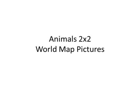 Animals 2x2 World Map Pictures. Koala~ Australia Red Back Spider~ Australia Seal~ Pacific Ocean Pacific White-Sided Dolphin~ Pacific Ocean.