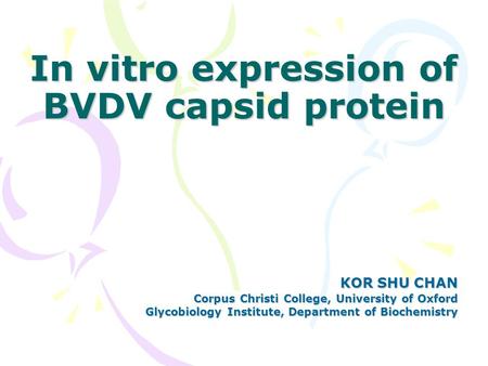 In vitro expression of BVDV capsid protein Corpus Christi College, University of Oxford Glycobiology Institute, Department of Biochemistry KOR SHU CHAN.