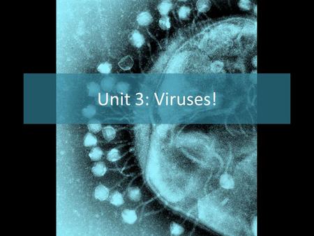 Unit 3: Viruses!.