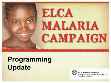 Programming Update. Malaria Programs: Best Practices The programs we support.