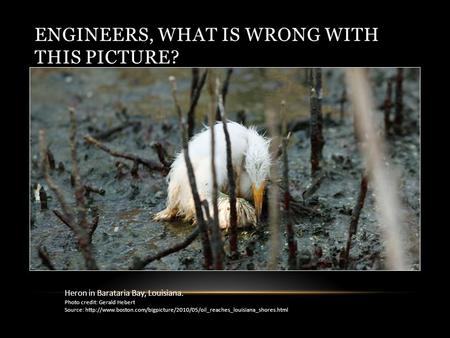 ENGINEERS, WHAT IS WRONG WITH THIS PICTURE? Heron in Barataria Bay, Louisiana. Photo credit: Gerald Hebert Source: