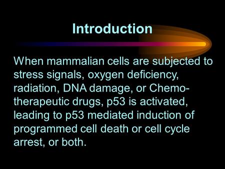 When mammalian cells are subjected to stress signals, oxygen deficiency, radiation, DNA damage, or Chemo- therapeutic drugs, p53 is activated, leading.