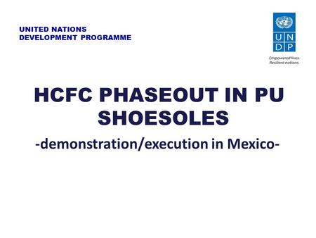 UNITED NATIONS DEVELOPMENT PROGRAMME HCFC PHASEOUT IN PU SHOESOLES -demonstration/execution in Mexico-