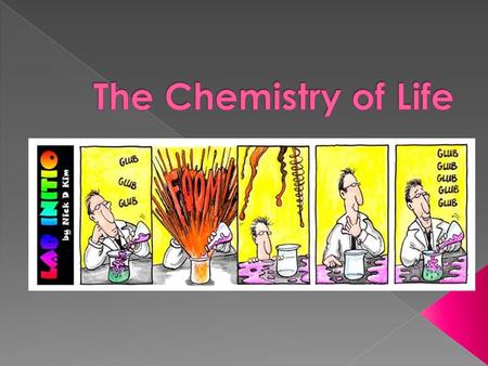 The Chemistry of Life.