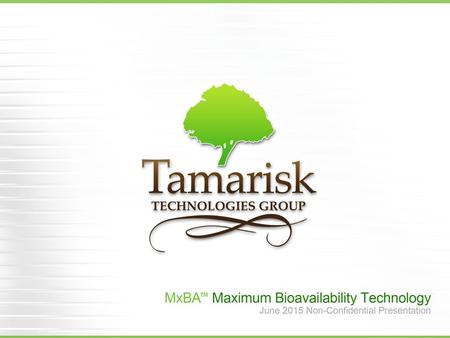 Overview  Founded in 2008  Privately held technology development company  Reorganized under new ownership as Tamarisk Technologies Group in 2014 About.