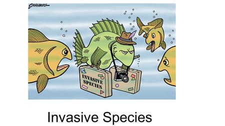 Invasive Species. What are native species? Native species are those that normally live and thrive in a particular community. They occupy specific habitats.