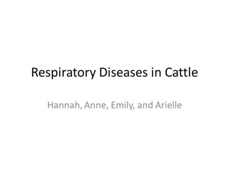 Respiratory Diseases in Cattle Hannah, Anne, Emily, and Arielle.