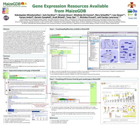 Gene Expression Resources Available from MaizeGDB Kokulapalan Wimalanathan 1, Jack Gardiner 4 5, Bremen Braun 2, Ethalinda KS Cannon 4, Mary Schaeffer.