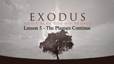 Lesson 5 - The Plagues Continue. Exodus 8:15 But when Pharaoh saw that there was relief, he hardened his heart and did not heed them, as the Lord had.