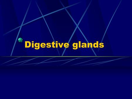 Digestive glands. General outline  small digestive glands distributed in the wall of digestive tract esophageal glands, gastric glands and intestine.