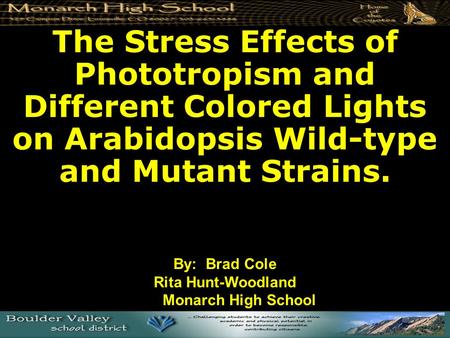 The Stress Effects of Phototropism and Different Colored Lights on Arabidopsis Wild-type and Mutant Strains. By: Brad Cole Rita Hunt-Woodland Monarch High.