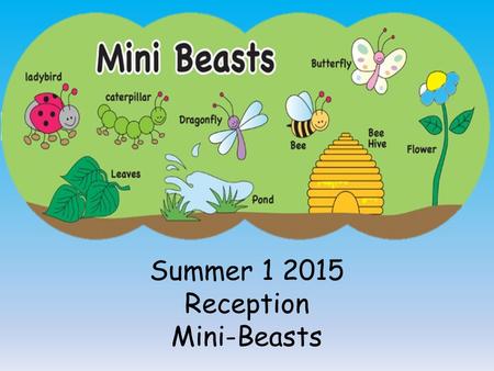 Summer 1 2015 Reception Mini-Beasts. During our topic on Mini-Beasts the children will explore and investigate their local environment and begin to be.
