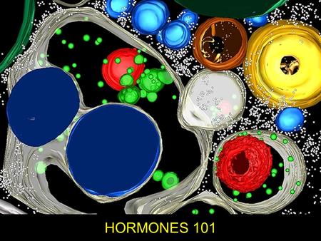 HORMONES 101. Thank you to Amy and QSXX You can follow Amy is a marketing guru, leading strategist, philanthropist, and musician... AND.