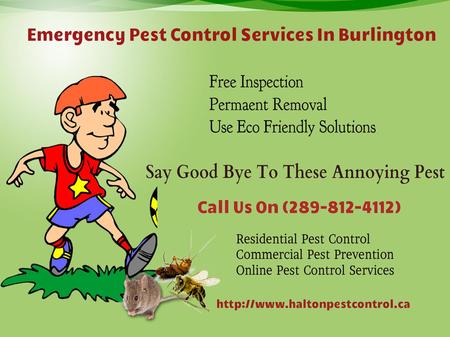 Halton Pest Control services provide highly effective and reliable solutions to prevent any type of pest infestation. We offer a comprehensive range of.