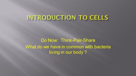Do Now: Think-Pair-Share What do we have in common with bacteria living in our body ?
