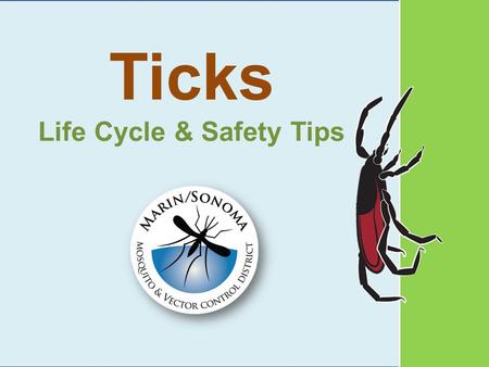 Ticks Life Cycle & Safety Tips. Ticks need blood to grow and lay eggs.
