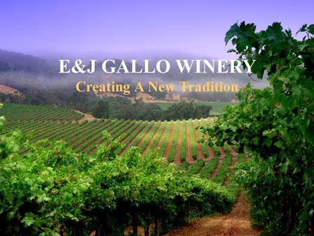 E&J GALLO WINERY Creating A New Tradition The E&J Gallo Winery is the largest private winery in the world. Gallo wines account for one in every four.