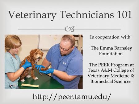  Veterinary Technicians 101 In cooperation with: The Emma Barnsley Foundation The PEER Program at Texas A&M College of Veterinary Medicine & Biomedical.