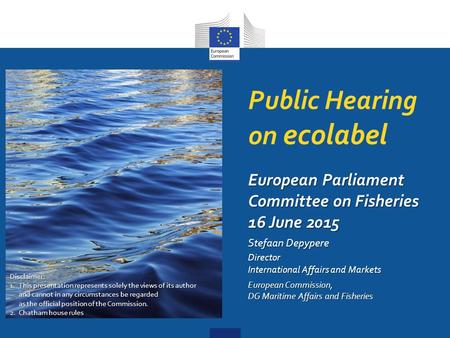 Public Hearing on ecolabel Disclaimer: 1.This presentation represents solely the views of its author and cannot in any circumstances be regarded as the.