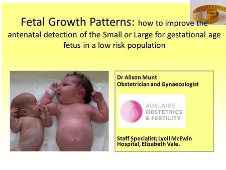Fetal Growth Patterns: how to improve the antenatal detection of the Small or Large for gestational age fetus in a low risk population Dr Alison Munt Obstetrician.