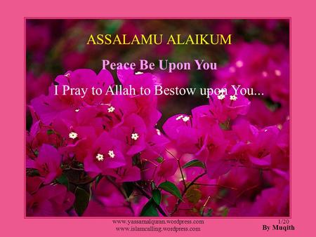 I Pray to Allah to Bestow upon You...