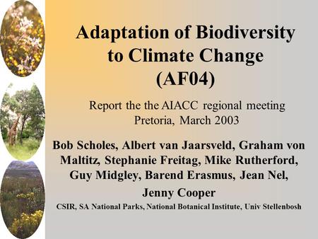 Adaptation of Biodiversity to Climate Change (AF04) Bob Scholes, Albert van Jaarsveld, Graham von Maltitz, Stephanie Freitag, Mike Rutherford, Guy Midgley,