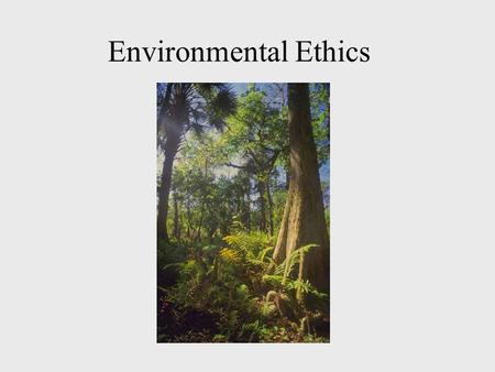 Environmental Ethics. Definitions Moral Agents –Those who have the freedom and rational capacity to be responsible for choices –Those capable of moral.