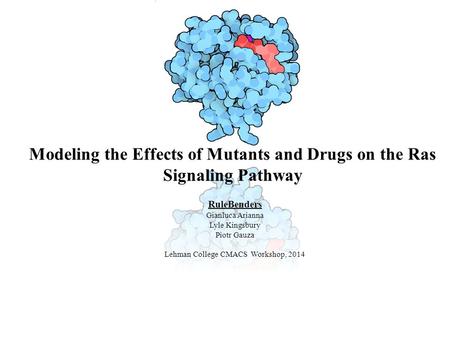 Modeling the Effects of Mutants and Drugs on the Ras Signaling Pathway RuleBenders Gianluca Arianna Lyle Kingsbury Piotr Gauza Lehman College CMACS Workshop,