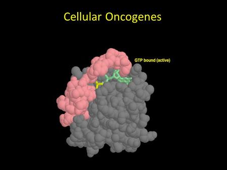 Cellular Oncogenes. We made it to the 70s v-src c-src proto-oncogeneoncogene Viral oncogenes paved the way.