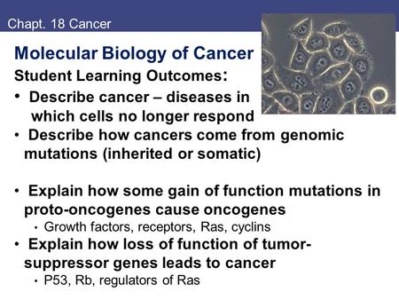 Chapt. 18 Cancer Molecular Biology of Cancer Student Learning Outcomes : Describe cancer – diseases in which cells no longer respond Describe how cancers.