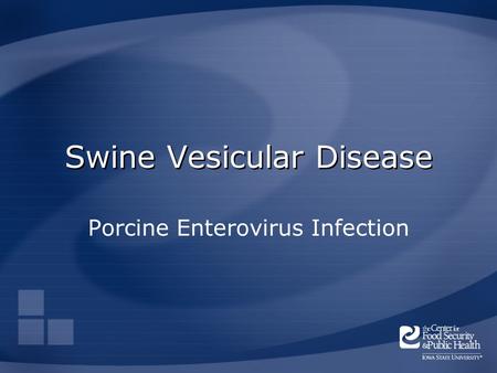 Swine Vesicular Disease Porcine Enterovirus Infection.