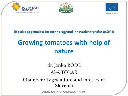 Effective approaches for technology and innovation transfer to SMEs Growing tomatoes with help of nature dr. Janko RODE Aleš TOLAR Chamber of agriculture.