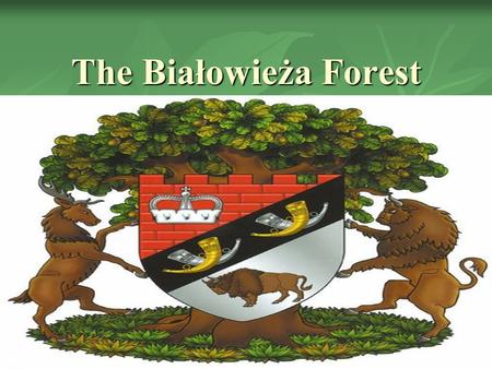 The Białowieża Forest. Location The Białowieża Forest is located on the border of Poland and of Belarus. The Białowieża Forest is located on the border.