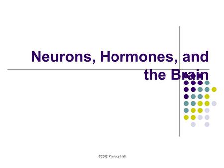 Neurons, Hormones, and the Brain