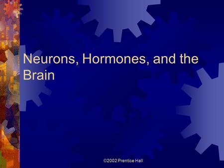 ©2002 Prentice Hall Neurons, Hormones, and the Brain.